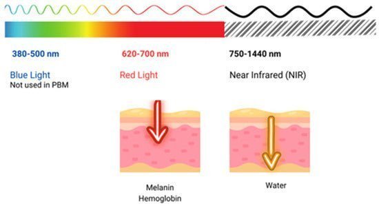 Red Light Therapy vs Infrared Heat: Understanding the Difference - FORTHiQ